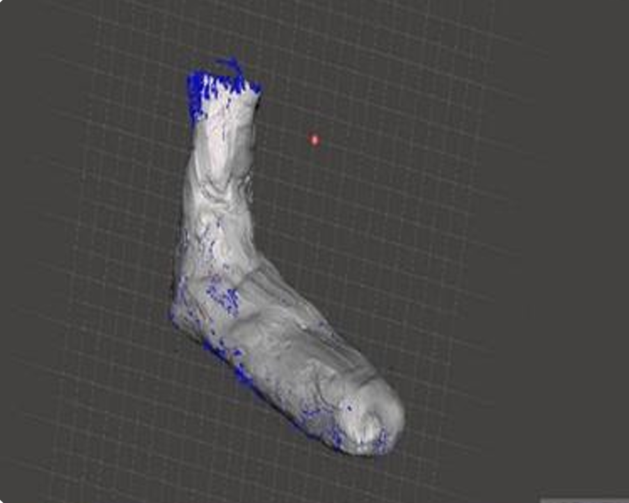 sample-foot